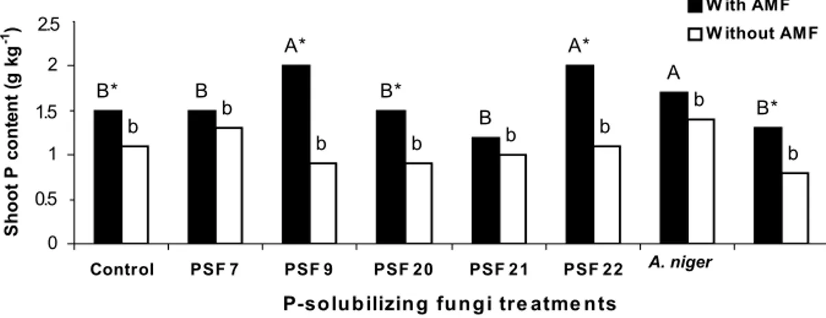 Fig. 2 – Shoot P content of clover inoculated with P-solubilizing fungi from Paraty, Rio de Janeiro, Brazil (PSF 7, 9, 20, 21 and 22) and from Granada, Spain (A