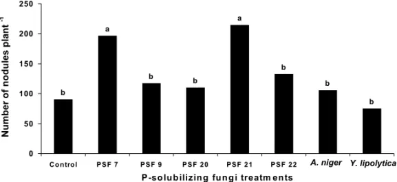 Fig. 3 – Number of Rhizobium nodules of clover inoculated with P-solubilizing fungi from Paraty, Rio de Janeiro, Brazil (PSF 7, 9, 20, 21 and 22) and from Granada, Spain (A