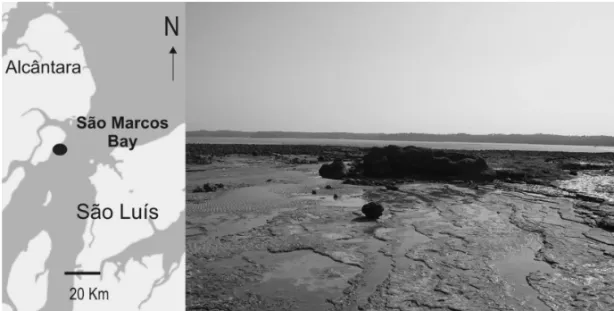 Fig. 2 – Localization of the Laje do Coringa fossiliferous site (black dot), and a photo showing the bone bed during low tide.