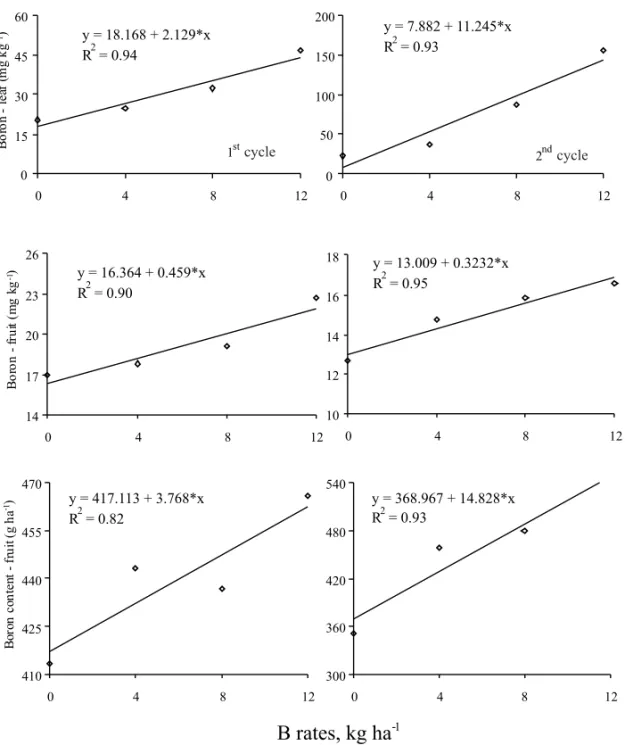 Fig. 2 – Equation of regression among the B rates with B concentration in leaves and fruits, and with B content in fruits of two yield cycles