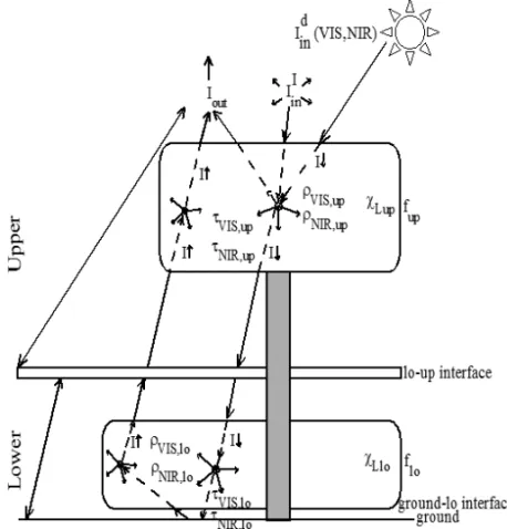Fig. 1 – Schematic representation of the radiative transfer model in IBIS.