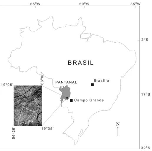 Fig. 1 – Localisation of Pantanal and the studied area (modified from Galvão et al. 2003).