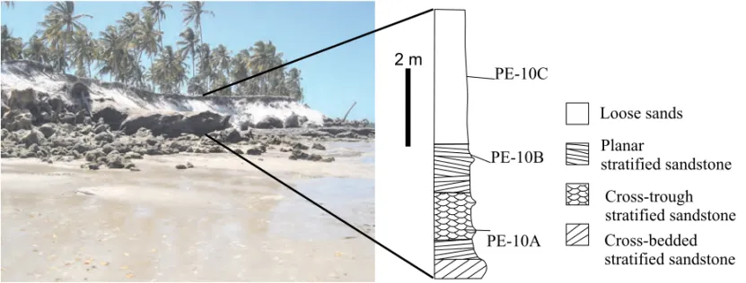 Fig. 7 – Wave-built terrace 0.0 m asl at Guadalupe beach, state of Pernambuco, which yielded OSL ages of 174-263 ka.