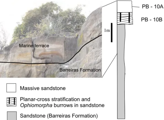 Fig. 4 – Wave-built terrace ∼ 10 m asl at Cabo Branco Cliff, state of Paraíba, which yielded OSL ages of 110-120 ka.