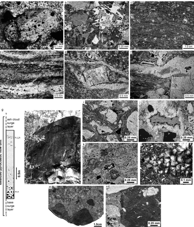 Fig. 2 – Petrographic features of coherent units and ignimbrites. a) subhedral hornblende rounded by thin layer of leucoxene in effusive trachyte;