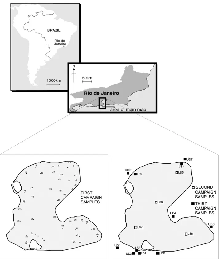 Fig. 1 – Localization of Rodrigo de Freitas lagoon and sampling stations.