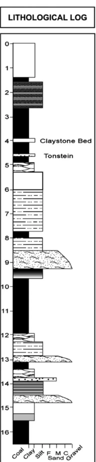 Fig. 2 – Lithological log of the Faxinal Coalfield (adapted from Guerra-Sommer et al. 2008c, fig