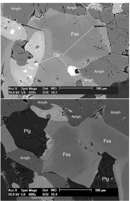 Figure 2. Scanning electron microscope images showing the textural relations in Gameleira  lamprophyres