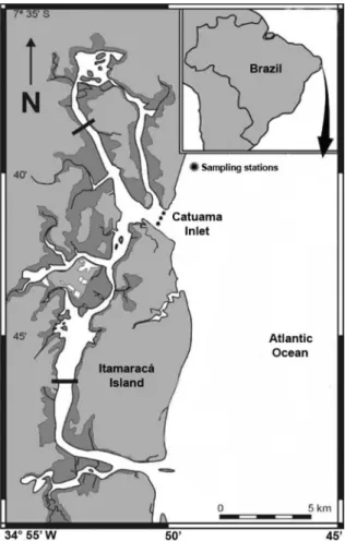Figure 1. Itamaracá estuarine system (Pernambuco, Brazil) showing  the Catuama Inlet and the sampling stations (indicated as marked).