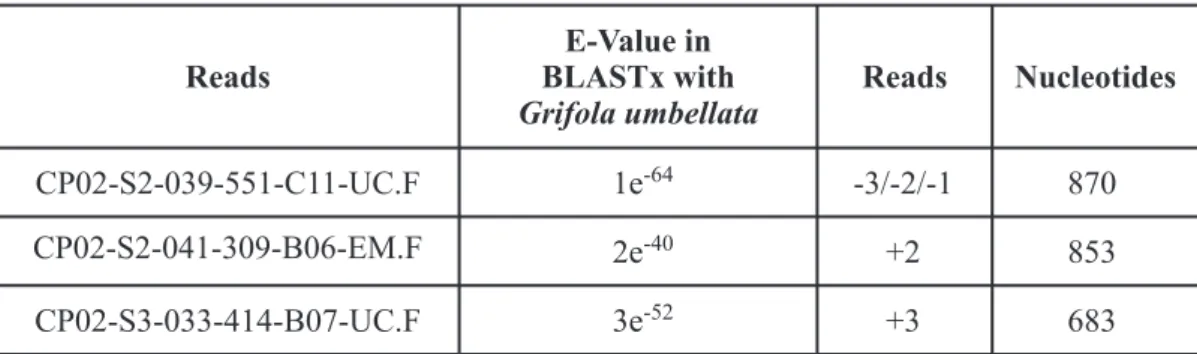 TABLE III 
