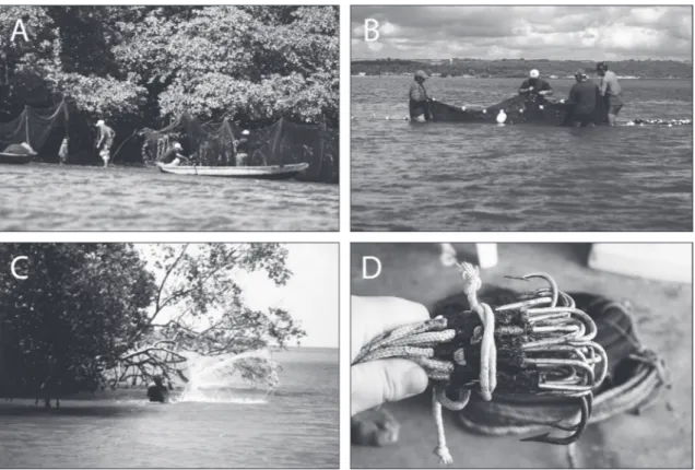 Fig. 3 -  A-  ‘Tomada’ net (gillnet) exposed at low tide on the MRE. Photo: José Mourão, 2000;  B-  fishermen using drag-net on the MRE