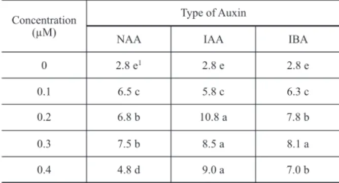 Fig. 1 - (A and B) Multiple rooting and shooting responses of  Verbena litoralis nodal segments, 45 d after in vitro culture