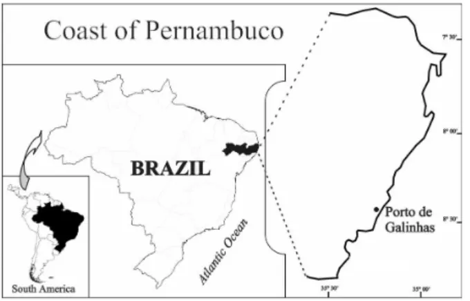 Fig. 1- Geographic localization of Porto de Galinhas beach in the coast  of Pernambuco State, Brazil