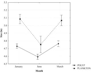 Fig. 3- First-order interaction between sites (polyps of Carijoa riisei  and plankton) and months on ln transformed mean of prey size at Porto  de Galinhas beach