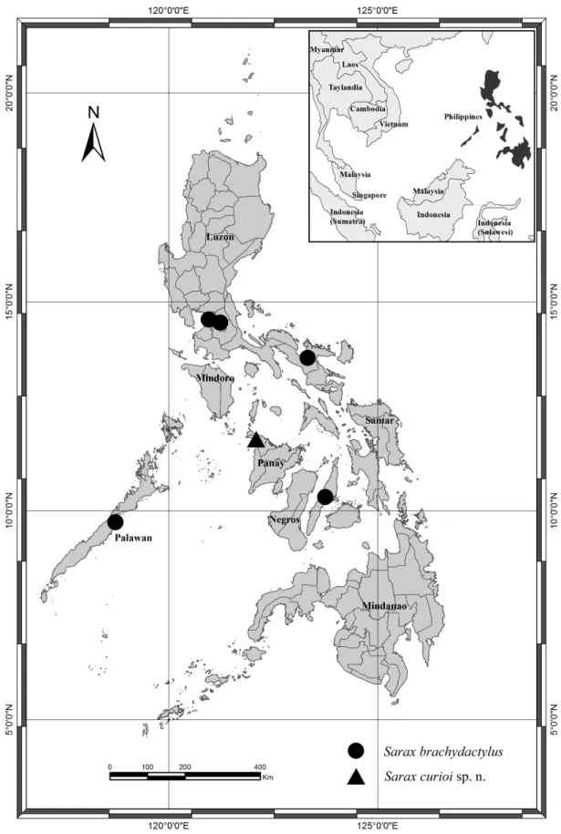 FIGURE 14: Distributional map of the Philippine species of Sarax.