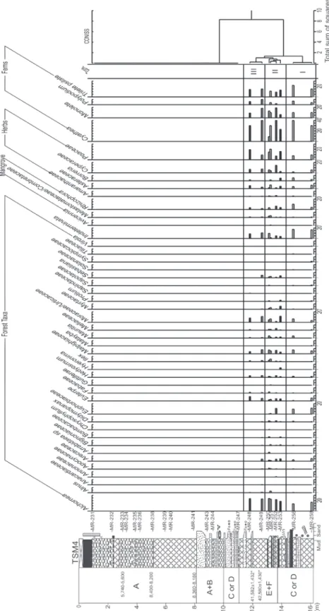 Fig. 4 - Diagram of pollen taxa percentages from TSM4. The three palynological zones recognized by CONISS diagram are also included in  this diagram, as well as the available  14 C ages (see text for descriptions)