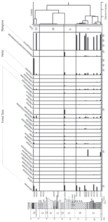 Fig. 5 - Diagram of pollen taxa percentages from TSM8. The three palynological zones recognized by the CONISS are also included, as well as  the available  14 C ages (see text for descriptions)