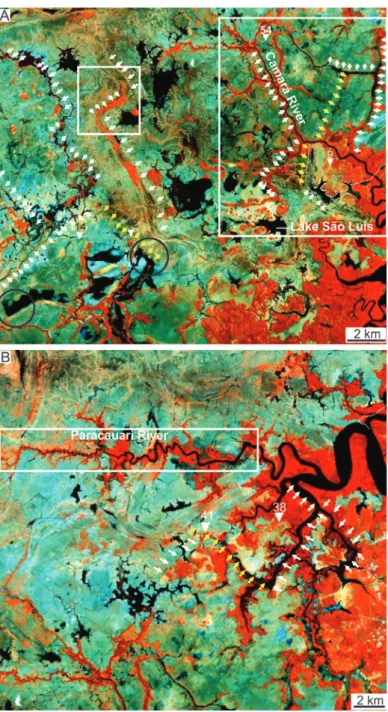 Fig. 6 - Landsat images (see Fig. 2 for location) illustrating morphostructural lineaments that coincide with the faults (yellow arrows) shown in  sections A-A´(A), B-B’ (B) and C-C’ (A) illustrated in figures 5