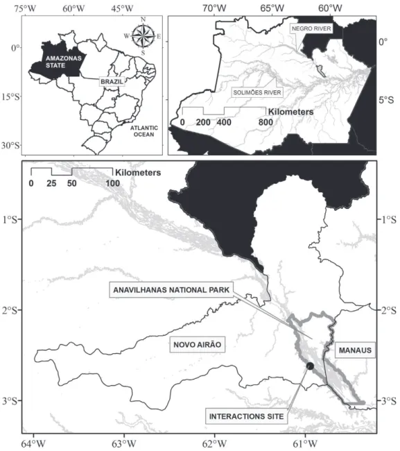 Figure 1 - Upper left: Amazonas State in Brazil; upper right: Anavilhanas National Park in Amazonas  State; down: Anavilhanas National Park in the municipalities of Manaus (Capital of the State) and Novo  Airão and the interaction site, located in Novo Air