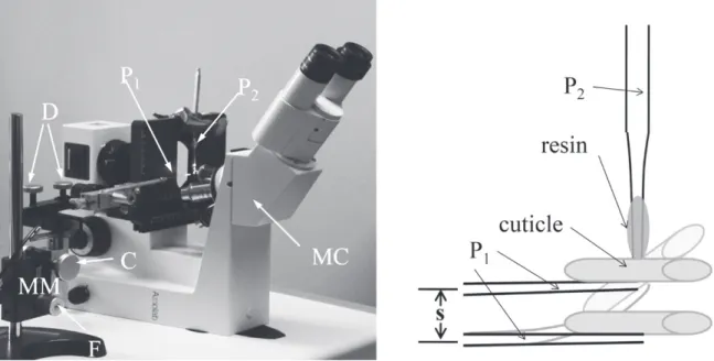 Figure 1 - Instrument to measure adhesion forces. Left – Overall view, right – details of the working range