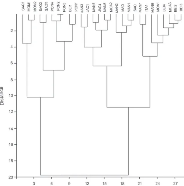 Figure 3 - Dendrogram: SAQ1 – Layer I from Saquarema shellmound; SAQ2 – Layer II from Saquarema shellmound; SAQ3 – Layer  III from Saquarema shellmound; PONT1- Layer I from Pontinha shellmound; PONT2- Layer II from Pontinha shellmound; PONT3-  Layer III fr