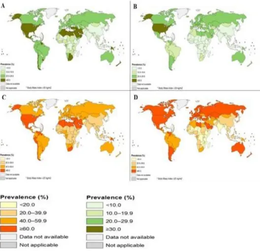 Figura 2: Média do IMC da população adulta mundial (maiores de 18 anos). Em A e C, obesidade e sobrepeso respectivamente da população feminina, e, B e D obesidade e sobrepeso respectivamente da população masculina (adaptado de OMS, 2015).