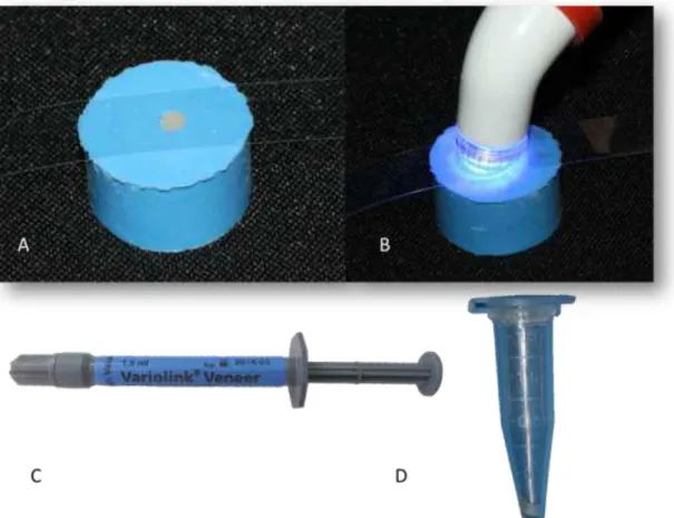 Figura  2.  A  –   Fita  de  poliéster  sobre  cimento  resinoso  inserido  na  matriz  de  silicone;  B-  Fotoativação  com  aparelho  de  luz  LED;  C-  cimento  resinoso  fotoativado (VariolinkVeneer +1); D- Amostra armazenada em ependorf 