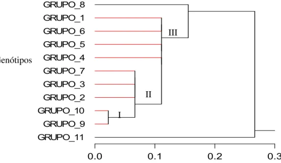 Figura  4 –  Dendograma  representativo  da  distância  genética  por  porcentagem  de  desacordo  e  agrupamento  pelo  método  de  UPGMA  entre  11  genótipos  utilizando  8  primers