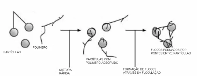 Figura 2.5 - Definição esquemática da formação de pontes entre partículas com aplicação de  polímeros orgânicos