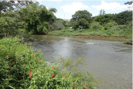 Figura 3.1 - Foto do rio Uberabinha (ponto de coleta de amostra) 