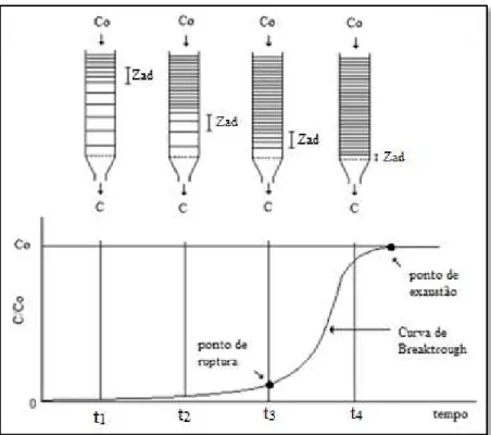 Figura 2.9 - Esquema representativo da zona de adsorção e curva de ruptura para coluna de  leito fixo