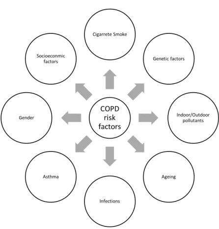 Figure 1- Risk factors for developing Chronic Obstructive Pulmonary. 