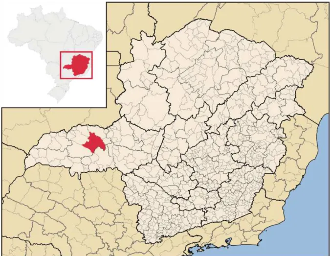 Figura 1: Localização do município de Uberlândia - MG 