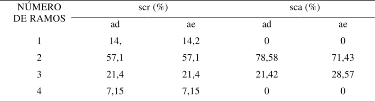 TABELA 2- Porcentagem (%) da distribuição dos nervos subescapulares cranial (scr)  e caudal (sca), antímeros direito(ad) e esquerdo (ae), no músculo subescapular (su)   em javalis, Uberlândia-2009