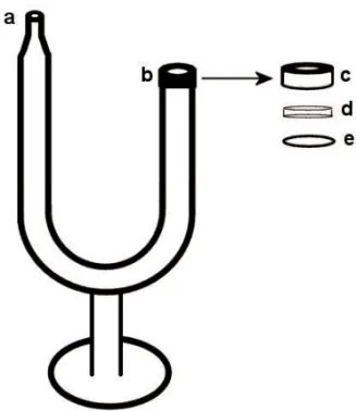 Fig. 1 – Schematic representation of the device to evaluate the water permeability of epicuticular waxes from caatinga and  cer-rado species