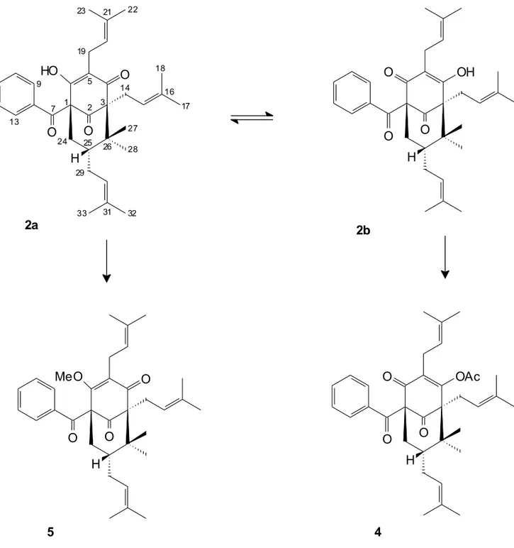 Fig. 2 – Structures of nemorosone A (2a) and its methyl ether (5) derivative, and of nemorosone B (2b) and its monoacetate derivative (4).