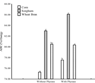 Figure 2. Apparent phosphorus digestibility coefficient (ADC) of  corn, sorghum and wheat bran with and without phytase by silver  catfish (Rhamdia voulezi)