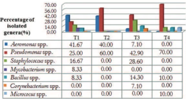 Figure 1. Identification and frequency of bacterial genera isolated  in the four treatments employed in the culture of juvenile Nile  tilapia (O