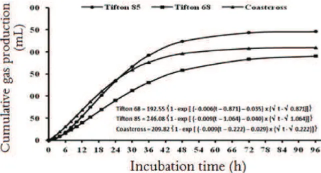 Figure 2.Cumulative gas production (PCG) (in mLg -1 DM) x  fermentation time of three grasses of the genus Cynodon