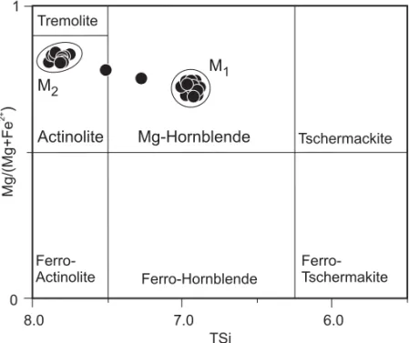 Fig. 4 – M 1 hornblende and M 2 actinolite compositions from the investigated sample. Two analyses are intermediate between the two extreme compositions because of partial resetting during greenschist facies metamorphic event.