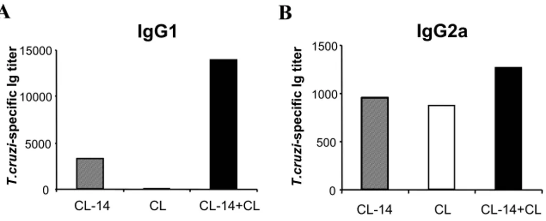 Fig. 2 – Production of IgG1 and IgG2a by mice inoculated with CL-14 clone and challenged with CL strain trypomastigotes