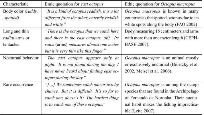 Fig. 3 – Information that suggests the correspondence between the specific east octopus and the Octopus macropus species according to emic and ethic information respectively.