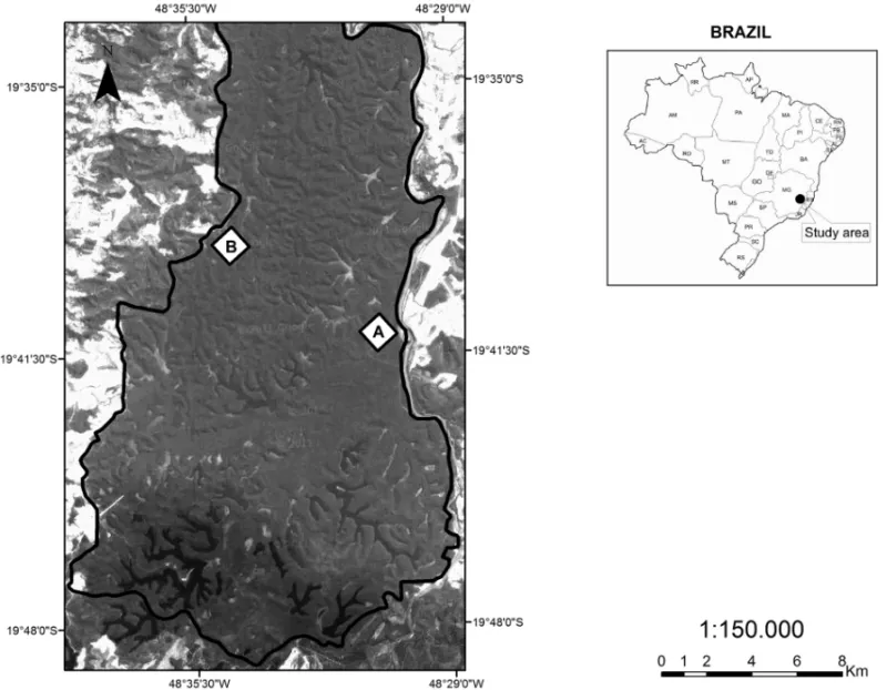 Fig. 1 – Two plots (A – primary forest plot; B – disturbed plot) of the Rio Doce State Park, Minas Gerais State, southeastern Brazil.