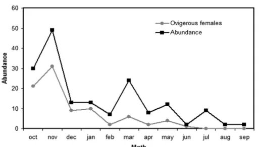 Fig. 6 – Overall abundance and number of ovigerous females of Macrobrachium equidens collected each month in the Caeté Estuary between October 2001 and September 2002.