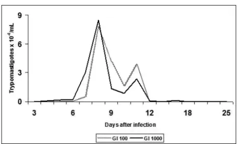 Fig. 1 – Curve of average parasitemia in 60-day-old Swiss male mice infected by the strain Y of T