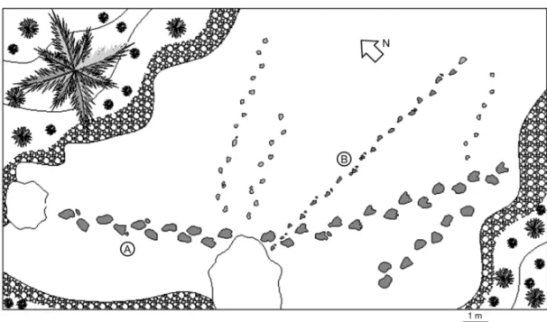 Fig. 3 – Trackway map of ichnotaxa A and B showing spatial relation between both ichnotaxa trackways.