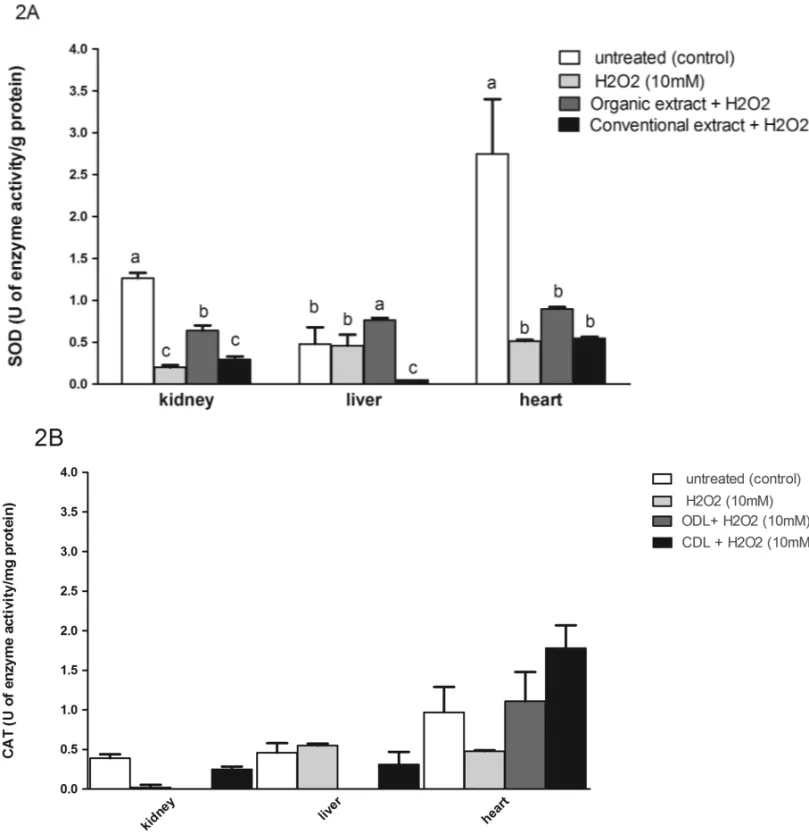 Fig. 2 – SOD (A) and CAT (B) activities in kidney, liver and heart tissues of Wistar rats treated with organic and conventional grape leaf extracts.
