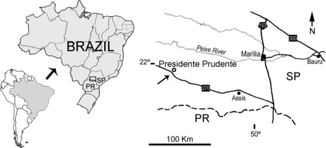 Fig. 1 – Map showing the locality where Brasiliguana prudentis was discovered (arrow), in the vicinities of Presidente Prudente, São Paulo State, Brazil