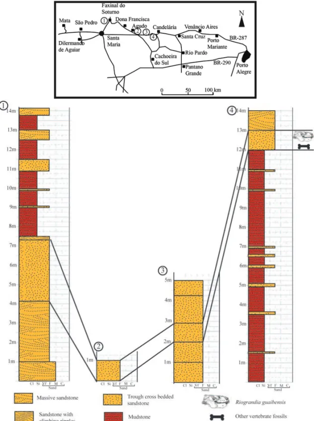 Fig. 3 – Location map and stratigraphic correlation of the four fossiliferous outcrops where Riograndia guaibensis occurs.