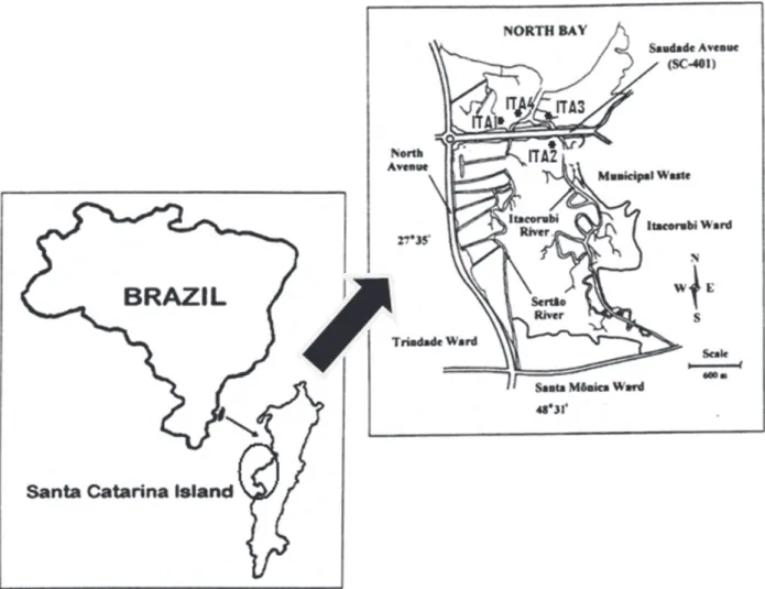 Figure 1 – Map showing the location of Itacorubi Mangrove at Santa Catarina Island and the sampling locations.